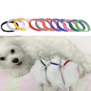 Hospitality 12 Unids/Set Cachorro Recién Nacido Mascotas Identifican Collares Ajustable Nylon Pequeño Perro Para Gatitos (6)