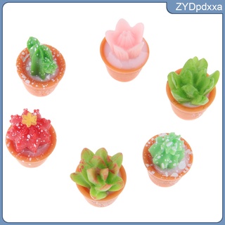 6 piezas artificiales suculentas lindo cactus de resina con una olla especial de lata (1)