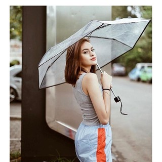 Paraguas plegable transparente TABASA claro coreano japonés