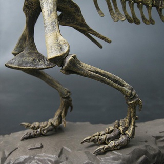 FOSSIL gran dinosaurio 4d ensamblado esqueleto niños juguete modelo de esqueleto fósil simulación u3l3 (7)