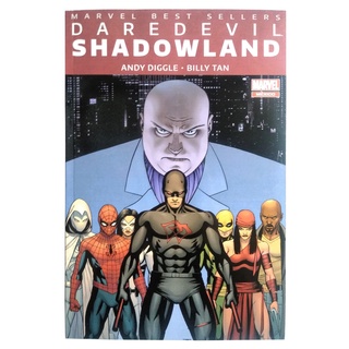 Marvel Best Sellers Daredevil Shadowland