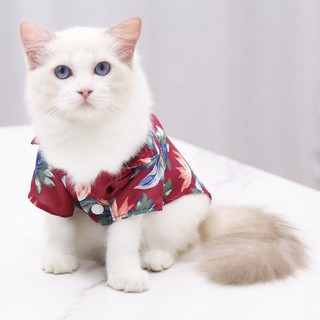 Lindo gato perro franela camisa Casual motivo de playa