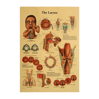Pintura Decorativa De cuerpo Humano Larynx retro serie De Papel Kraft Bar Café