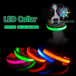 Collar De Seguridad LED Para Mascotas-Mantenga A Su Mascota La Vista Por La Noche Luminoso Poliéster Luz Para Perro