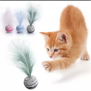 Pelota de juguete con pluma para gato
