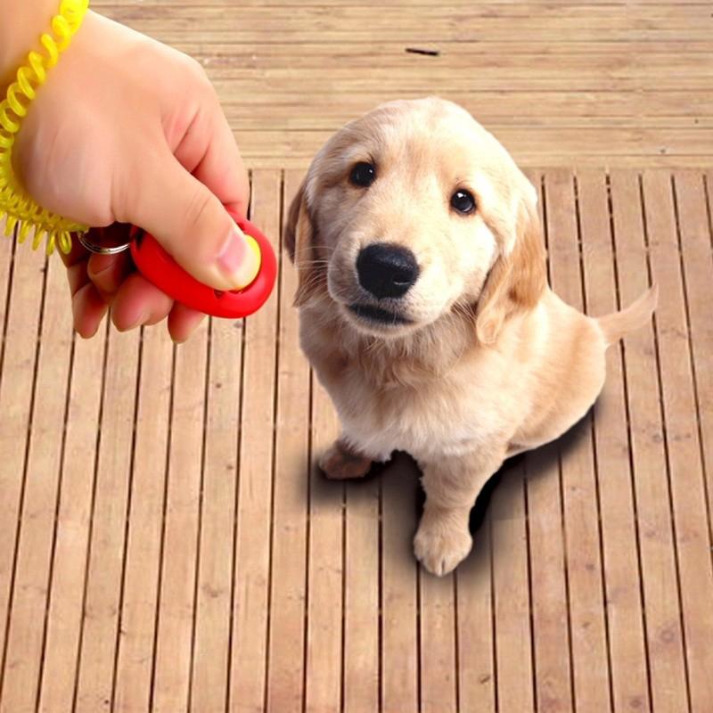 Entrenador mascota cantante perro entrenamiento Vocal CLICKER Blister embalaje entrenamiento (1)