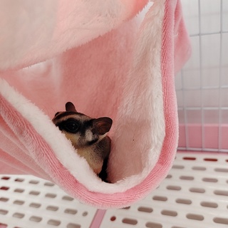 timiby felpa hámster hamaca ardilla hurón conejo mascota cama de doble capa espesar caliente saco de dormir nido colgante jaula casa (9)