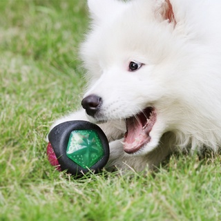 croom_mascota perro masticar juguetes chirriantes sonido cachorro interactivo intermitente bola de entrenamiento