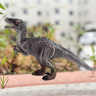 jurásico pequeño dinosaurio simulación tyrannosaurus modelo de juguete modelo de regalo dinosaurio simulación p7c0 (4)