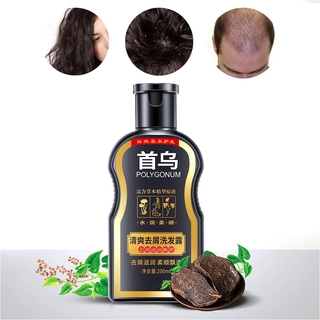 Polygonum Multiflorum Shampoo Anti-Dandruff Shampoo Moisturizing Oil Control Shampoo Hair Care