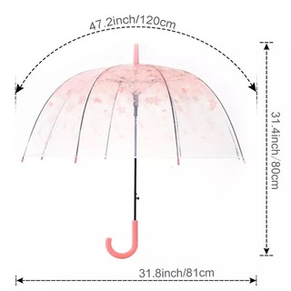 Paraguas transparente/paraguas de plástico transparente (3)
