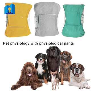 Rápido | Reutilizable Macho Mascota Perro Pañales Pantalones Simples Menstruales Sanitarios Suministros Mascotas
