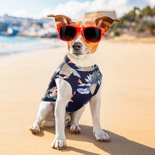 mascotas camisas pequeñas medianas y grandes perros verano perro camisas de playa árbol impresión transpirable mascota ropa hawaiana/ropa de perro de navidad cachorro lindo de dibujos animados jersey perro pareja traje perro gato/Multicolor (2)