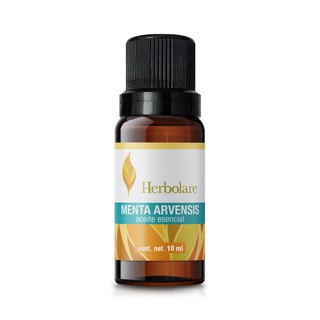 Herbolare - Aceite esencial de Menta Arvensis 10 ml. 100% puro.