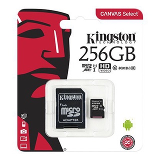 Kingston Micro SD Class 10 SDHC/SDXC tarjeta de memoria - 32 GB/64 GB/128 GB/256 GB (garantía de por vida) (2)