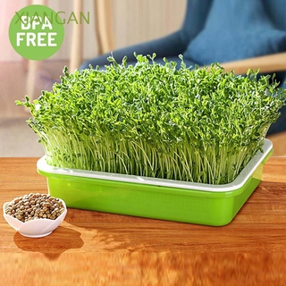 XIANGAN Homemade Gardening Tools Natural Soilless cultivation Seedling Tray Harmless Wheatgrass Plastic Encryption Double-layer Soilless Planting Hydroponic Vegetable/Multicolor