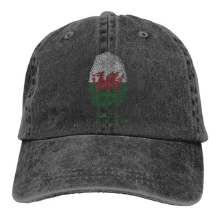 Listo Stock todo el año adn huellas dactilares gales Rugby Kit de fútbol Cymru bandera Ideal Casual simplicidad moda vaquero gorra de béisbol regalo de Halloween