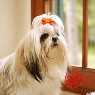100PCS Dog Hair Bows Pet Dog Flower Headwear Rubber Puppy Accessories Clips Bands Hair S4Q2