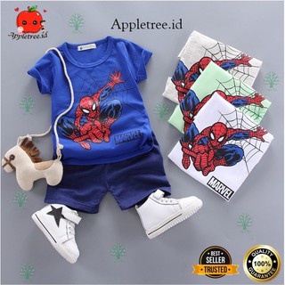 Conjuntos de ropa de niños/trajes de ropa de niños y ropa de bebé trajes importados Spiderman imágenes SB10 (2)