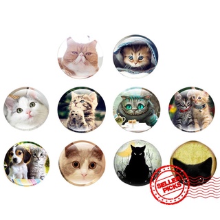 gato imán de nevera lindo animal refrigerador imanes del unids/set mensaje decoración pegatinas T1S0
