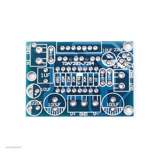 ~ Td 3/TD 4 Mono canal amplificador placa circuito PCB Bare Board