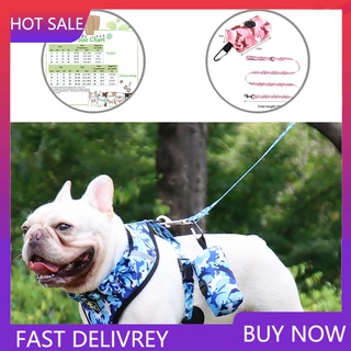 Collar/collar para mascotas Ty/Collar De tracción con correa para mascotas/Collar De Collar con lazo para perros