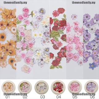 [bueno] 1 caja de flores secas decoración de arte de uñas coloridas flores secas naturales