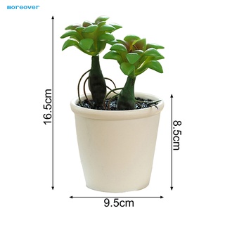 Plantas falsas de escritorio de Bonsai reutilizables Suculentas de Plástico Artificial Miniatura Para escritorio (5)