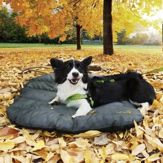 gvrycqoky alfombrilla impermeable para perros al aire libre para dormir, camping, mascota, cama de viaje, 43" x 30" mx (9)