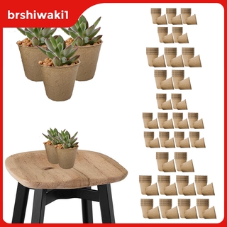 Brshiwaki1 maceta De semillas biodegradables biodegradables/vasos De cambio/semillas Para vegetales y Suculentas