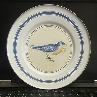 Placa de esmalte de la vieja escuela motivo de pájaro (contenido 2 piezas)