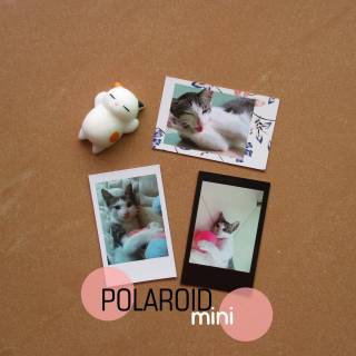 (Polaroid/Impresión) Polaroid Photo Print Mini Polaroid (1)