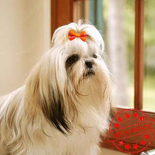 100PCS Dog Hair Bows Pet Dog Flower Headwear Rubber Clips Bands Accessories Puppy Hair Z0Y2