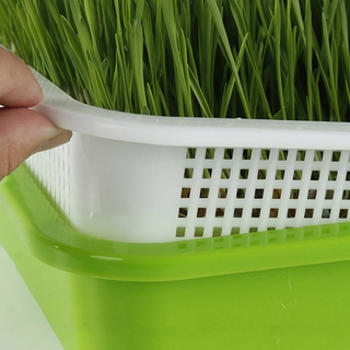 FUKUKAWA Durable Gardening Tools Harmless Soilless cultivation Seedling Tray Wheatgrass Plastic Encryption Natural Soilless Planting Double-layer Hydroponic Vegetable/Multicolor (9)