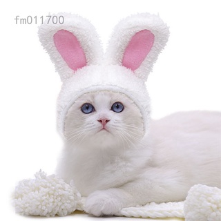 Fm011700 1 pieza de ropa de cabeza para mascotas, trajes para mascotas, lindo conejo, sombrero de oreja, gato, conejo, disfraz para gatos, perros pequeños, diario o accesorio de fiesta