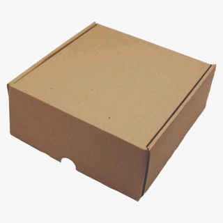 Cajas Kraft para Envíos - 20 x 20 x 8 cm