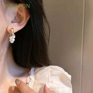 WINSTON Señora Pendientes redondos Francés Clavos para los oídos Pendientes de anillo Cristal Plata Regalo Oro Chic Simple Coreano/Multicolor (1)