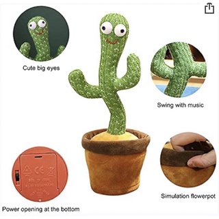 Cactus bailarín