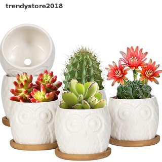 trendystore2018 maceta suculenta mini de cerámica suculenta maceta cactus maceta con drenaje mx