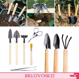Juego de 10 palas en maceta rastrillo y cepillo Bonsai hogar jardinería herramientas (3)