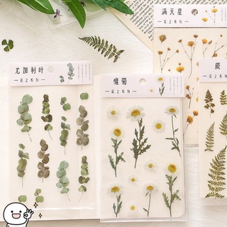 Simulación planta margarita trébol pegatinas/transparente mascota Material flores hojas plantas decoración pegatinas para cuaderno marcadores