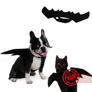 disfraz de halloween para mascotas, gato, perro, murciélago, disfraz de transformación g8n8