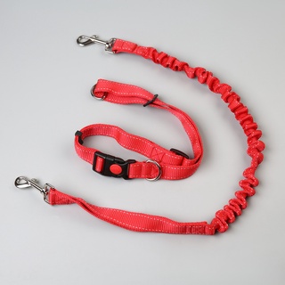 digitalblock pet dog tracción cuerda slip lead training collar elástico cinturón ajustable co