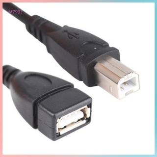 Cable Adaptador USB 2.0 Tipo A Hembra B Macho Para Impresora
