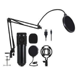 Kit Microfono Profesional Bm 800 Condensador (1)