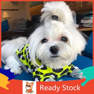 [WTQ] Camisa delgada para mascotas, perro, de dos patas, camiseta cómoda, disfraz de cachorro