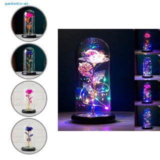gankedis - lámpara de flores artificiales (5 colores, luz led, cúpula, rosa, flores conservadas)