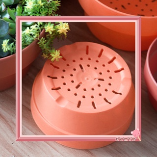 DM|Ready Succulent Flower Pot Mini Potted Plants Planters Office Decoration Garden Home Accessories (8)