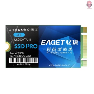 AUDI EAGET S300 SSD M.2 (NGFF) unidad de estado sólido transmisión de alta velocidad compacta Slient SSD a prueba de golpes para PC portátil 1TB (1)