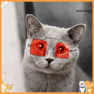 [Vip] gafas de sol cuadradas universales para gatos/perros/lentes de sol/fotos/accesorios para mascotas